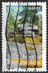 La forêt Fontainebleau