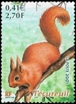 L'écureuil