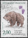 L'ours des Pyrénées - Ursus arctos