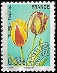 Tulipe 0.38€