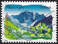 Rhône-Alpes - La myrtille