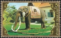 Éléphant d'Asie