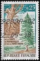 Jumelage de la forêt de Rambouillet et de la forêt Noire
